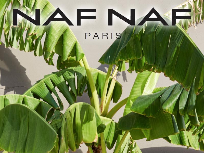 naf_naf_modnialmanah_fashion