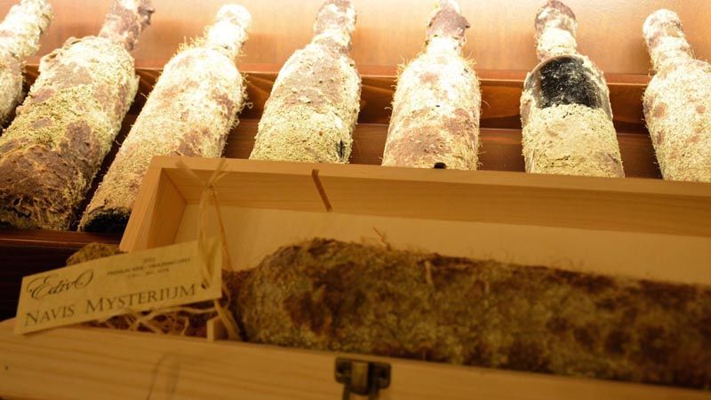 edivo_vina_gastro_modnialmanah