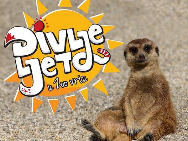 zoo_divlje_ljeto_modnialmanah_lifestyle