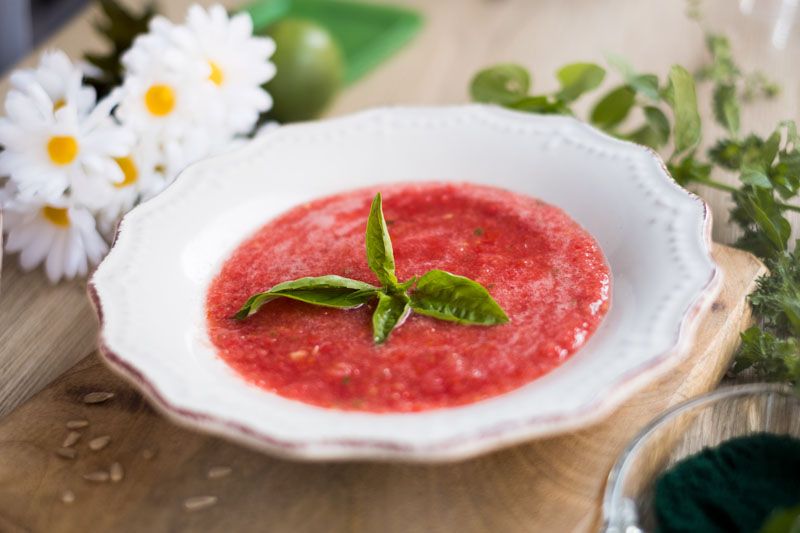 food_expert_gastro_modnialmanah