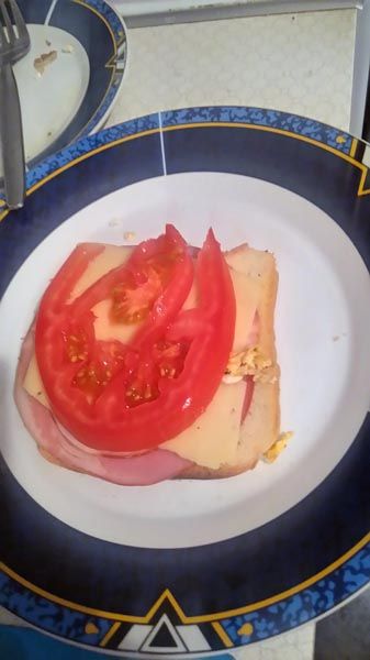 gastro_hrana_sendvič_modnialmanah