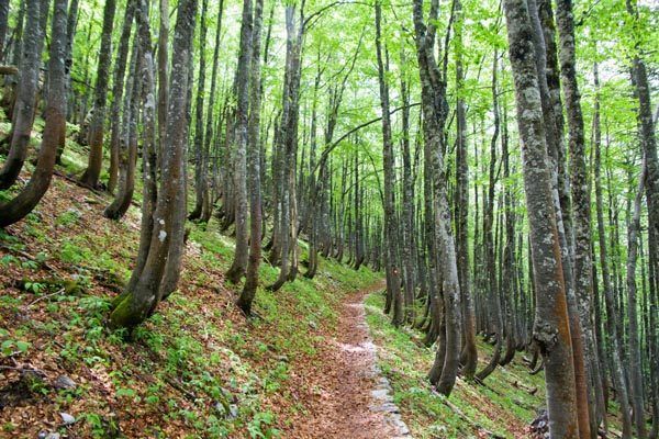 highlander-velebit-zdrav-život-modnialmanah
