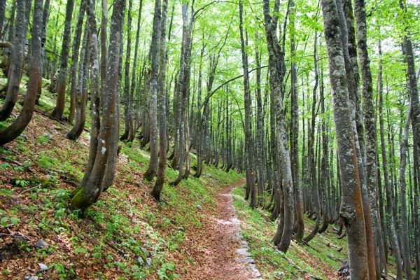 highlander-velebit-zdrav-život-modnialmanah