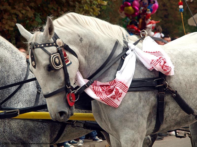 vinkovačke-jeseni-vinkovci-lifestyle-modnialmanah