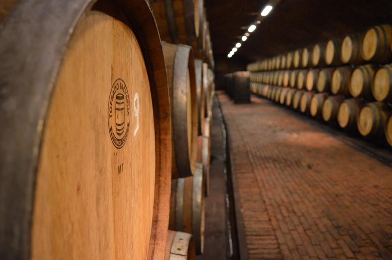 feravina-gastro-vino-pinot-crni-dika-modnialmanah