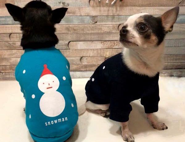 Double-Trouble-Dog-Boutique-shopping-modnialmanah-ljubimci