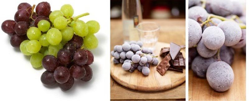 gastro-zdrava-hrana-modnialmanah