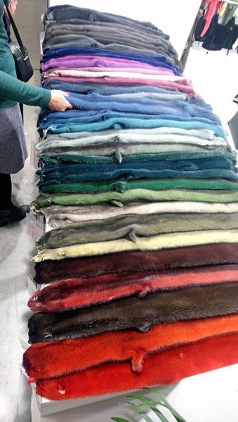 the-one-milano-fashion-modnialmanah