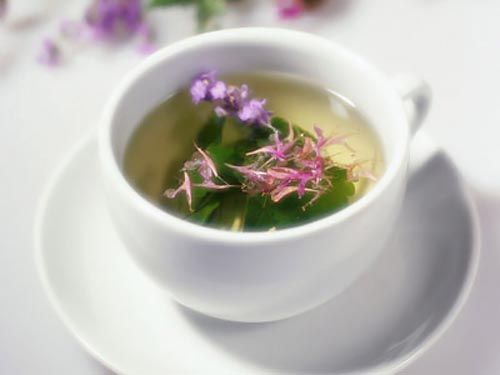 čaj-zdravlje-modnialmanah