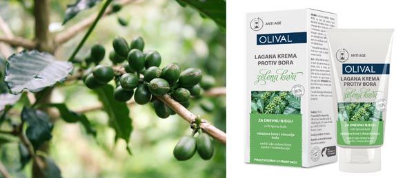 beauty-modnialmanah-olival-koža-lice-zelena-kava