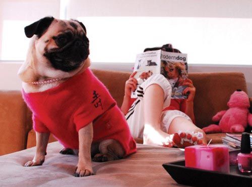 fashion-ljubimci-modnialmanah