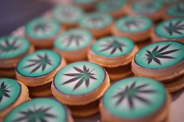 The-Organic-Hemp-Line-beauty-kozmetika-modnialmanah