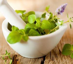 komarci-zdrav-život-zdravlje-modnialmanah