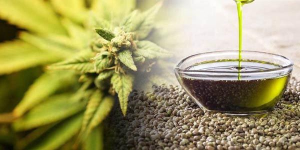 konoplja-fashion-modnialmanah-beauty