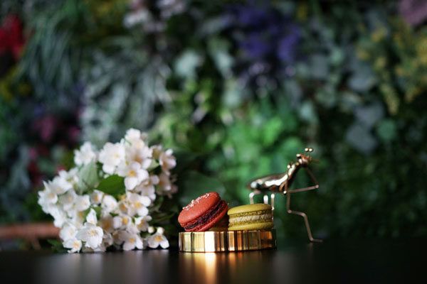 torteria-macaron-gastro-kolači-slatko-modnialmanah