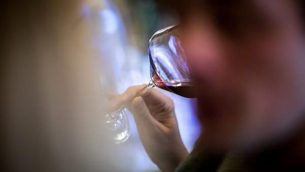 feravino-syrah-miraz-gastro-modnialmanah