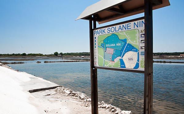 solana-nin-modnialmanah-lifestyle-sol