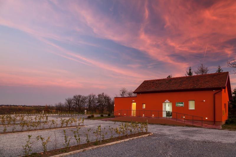 kampiranje-slavonija-lifestyle-modnialmanah-zlatni-lug