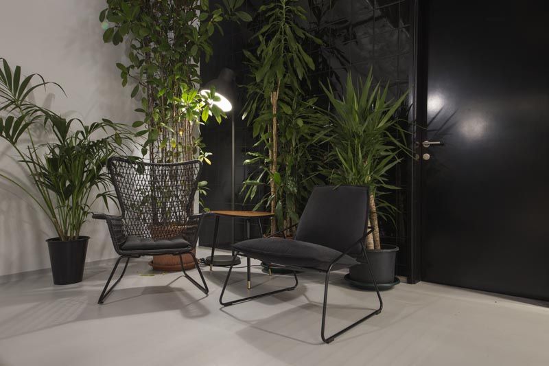 biljke-brigada-modnialmanah-lifestyle