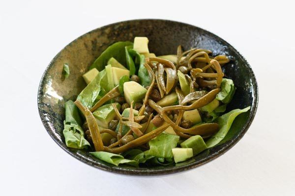 bota-šare-modnialmanah-gastro