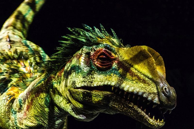 šetnja-s-dinosaurima-modnialmanah-lifestyle