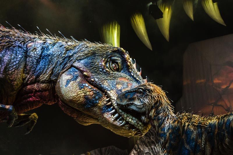 šetnja-s-dinosaurima-modnialmanah-lifestyle
