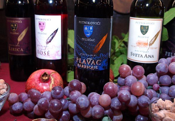 putniković-gastro-modnialmanah-vino