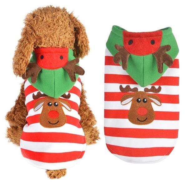 shopping-Double-Trouble-Dog-Boutique-modnialmanah