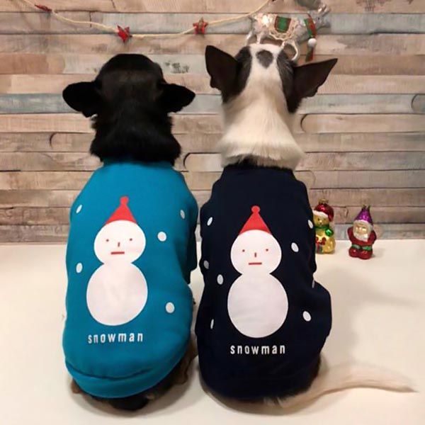shopping-Double-Trouble-Dog-Boutique-modnialmanah