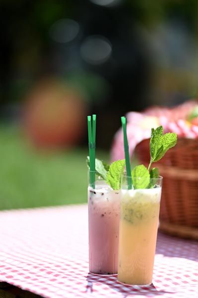 b-Aktiv-Beri-boom-i-Wocni-wow-lifestyle-dukat-modnialmanah