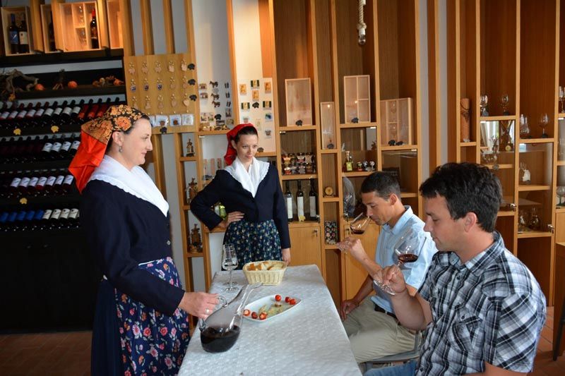 pz-putniković-vino-modnialmanah-gastro