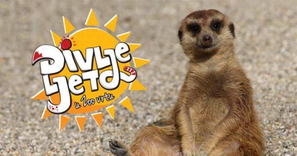 zoo-divlje-ljeto-zološki-vrt-zagreb-lifestyle-modnialmanah