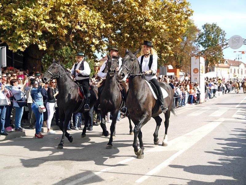 vinkovačke-jeseni-lifestyle-modnialmanah-slavonija
