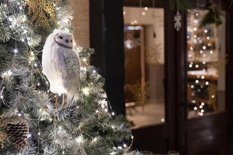 bota-šare-advent-lifestyle-modnialmanah