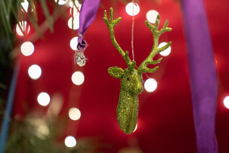 bota-šare-advent-lifestyle-modnialmanah