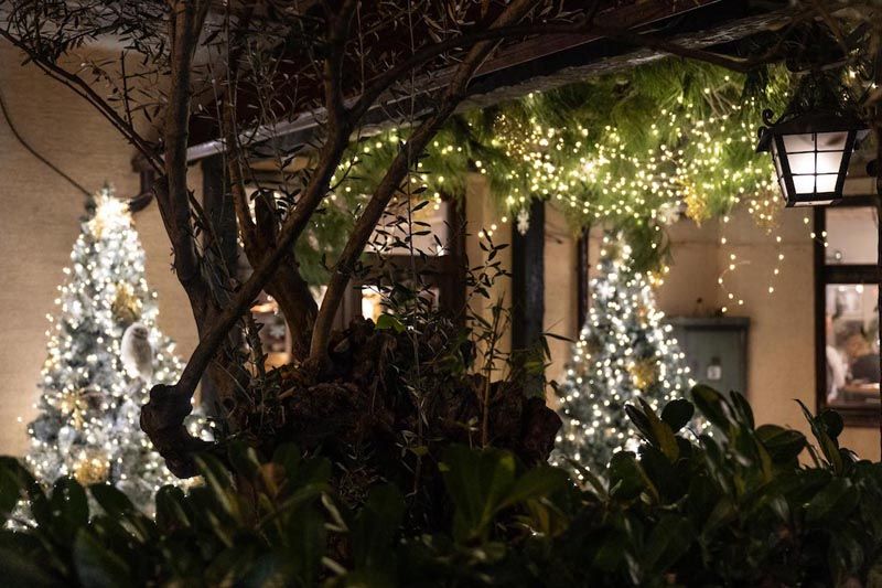 bota-šare-advent-lifestyle-modnialmanah