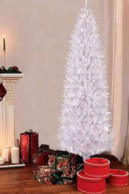 lifestyle-bijla-jelka-bijeli-bor-modnialmanah