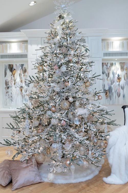 lifestyle-bijla-jelka-bijeli-bor-modnialmanah