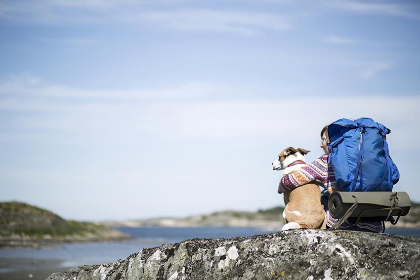 lifestyle-booking-com-kućni-ljubimci