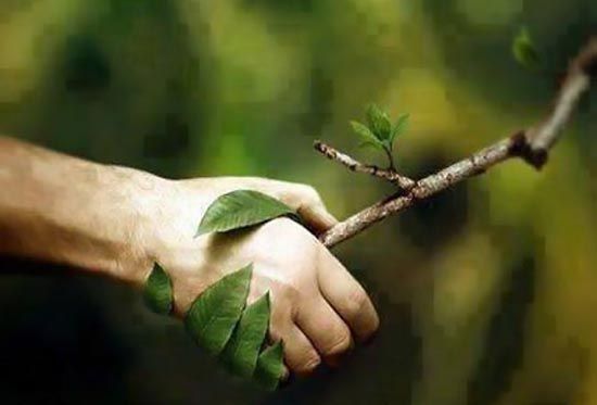 lifestyle-modnialmanah-ekologija