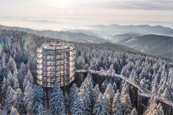lifestyle-rogla-skijanje-pot-med-krošnjami