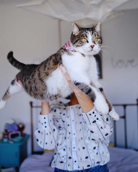 lifestyle-whiskas-mijau-modnialmanah