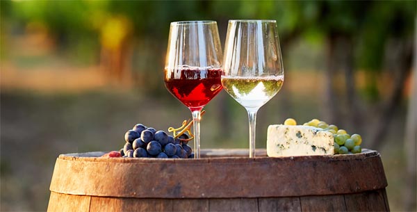 vino-gastronomija-mdnialmanah
