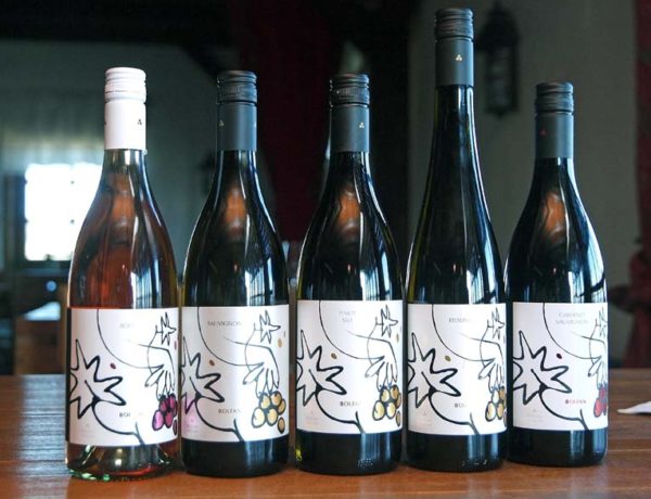 bolfan-vinski-vrh-modnialmanah-lifestyle-vino