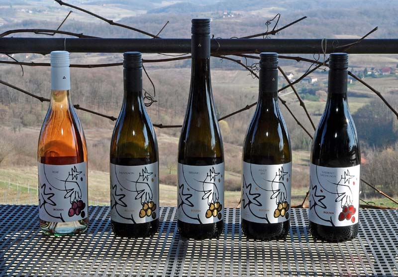 bolfan-vinski-vrh-modnialmanah-lifestyle-vino