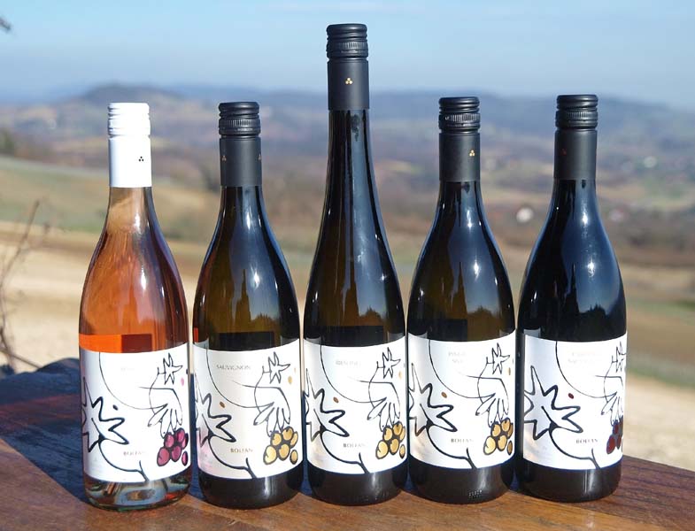 bolfan-vinski-vrh-modnialmanah-lifestyle-vino