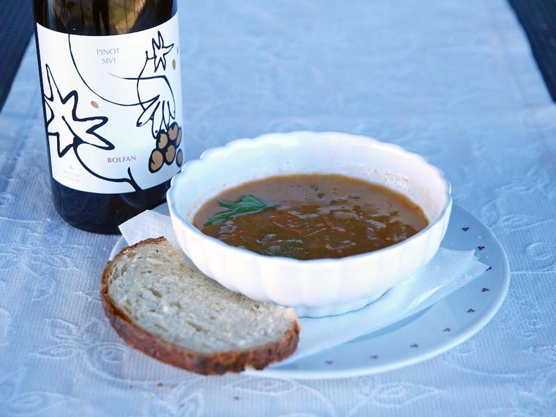 bolfan-vinski-vrh-modnialmanah-lifestyle-vino