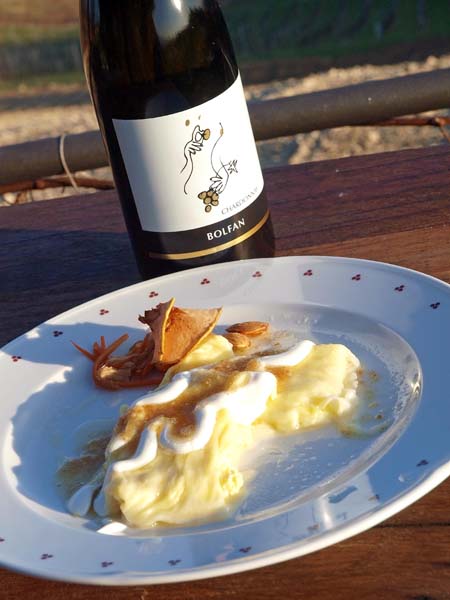 bolfan-vinski-vrh-modnialmanah-lifestyle-vino