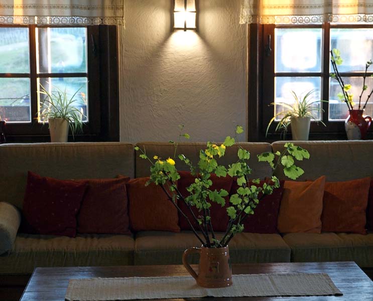 bolfan-vinski-vrh-modnialmanah-lifestyle-vino