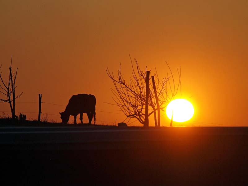 bolfan-vinski-vrh-modnialmanah-lifestyle-vino